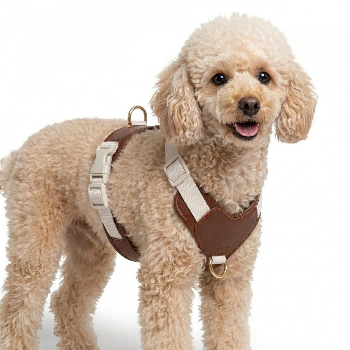 11.11 Mega Sale: Handcrafted Leather Canvas Dog Collar, Harness and Leash - Beige - M | M | Harness + Leash