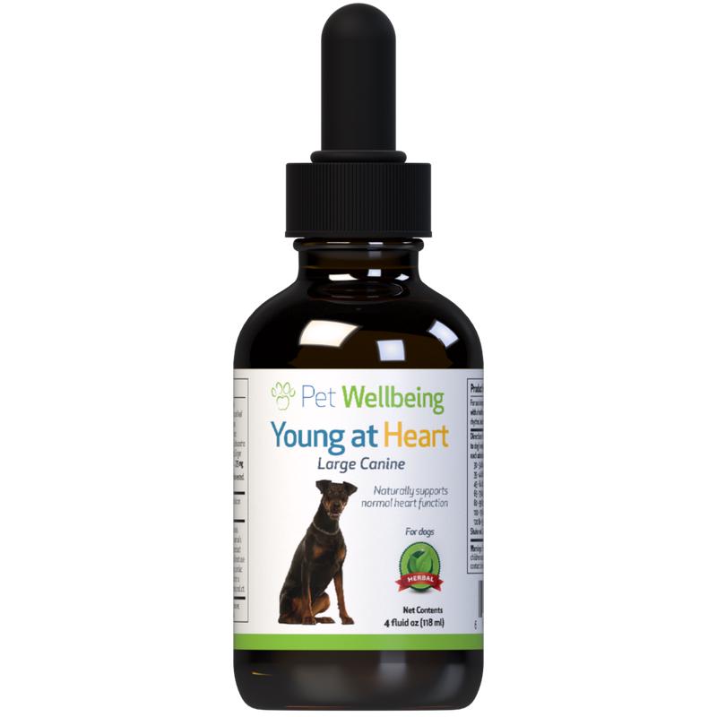 Young at Heart - for Healthy Heart Maintenance in Dogs ( Available in 2oz and 4oz)