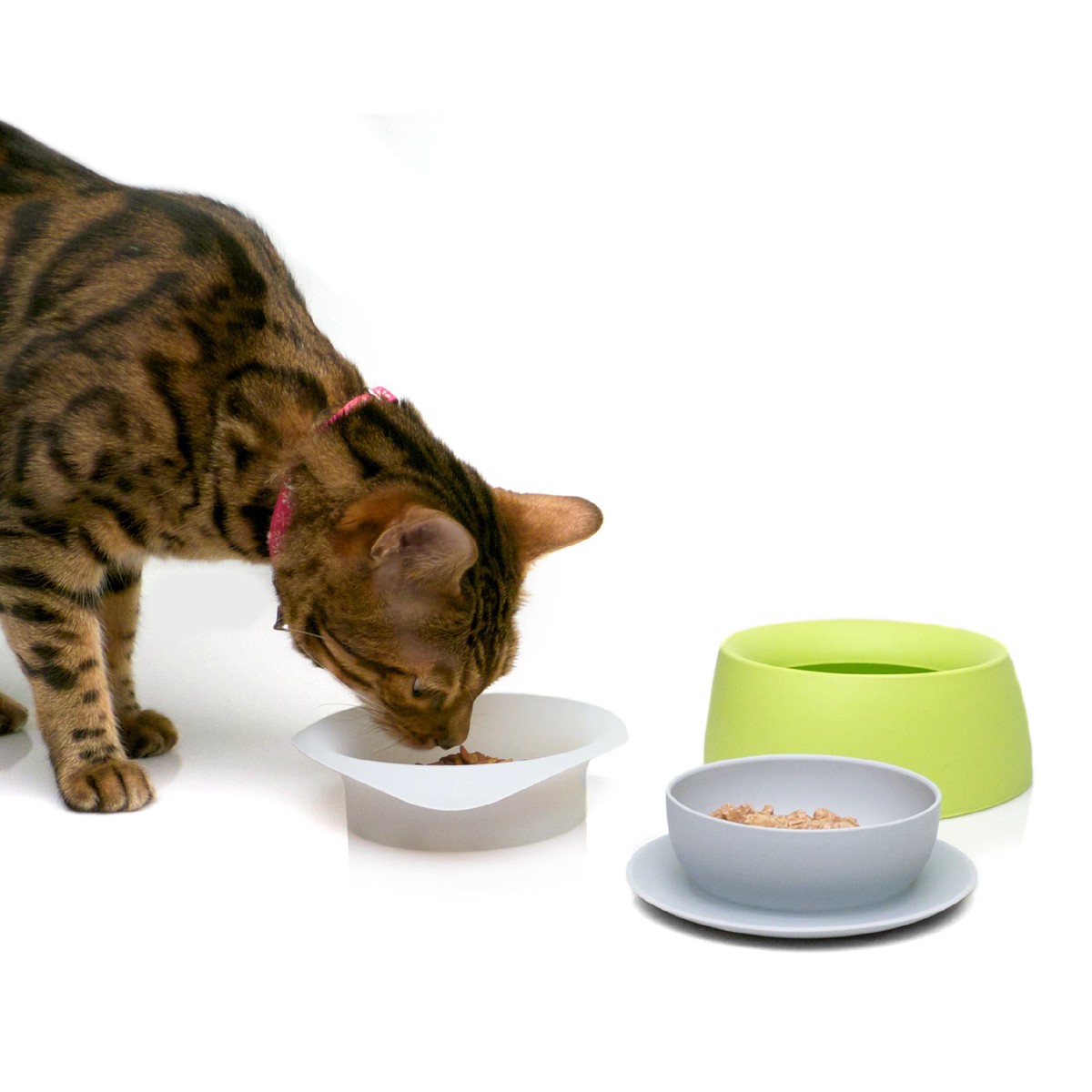 Yummy Travel Bowls