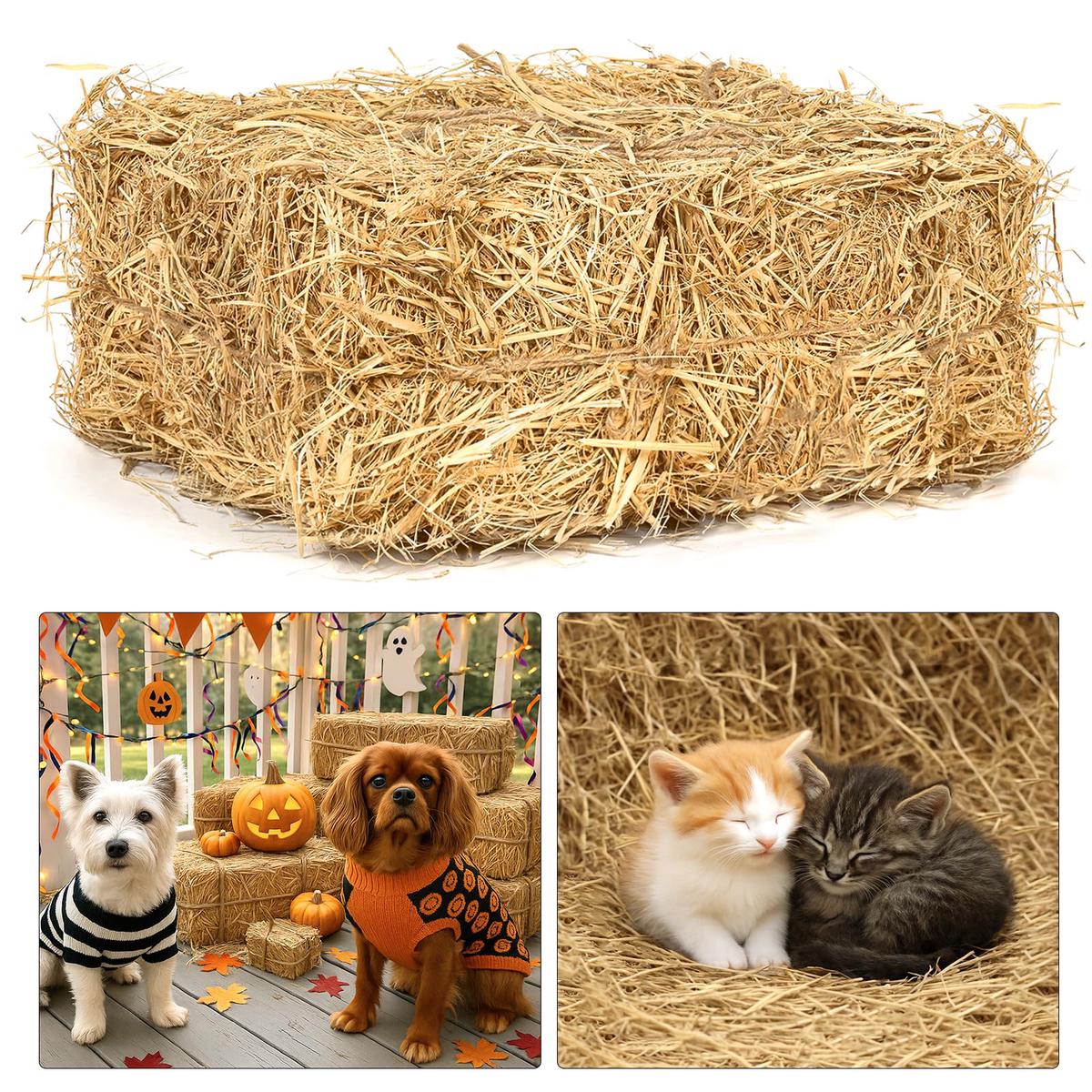 100% Natural Straw Bedding for Cats 5 LB Dry Straw, Soft & Biodegradable Bedding for Winter Cat Shelters, Feral Cat Houses & Pet Warmth